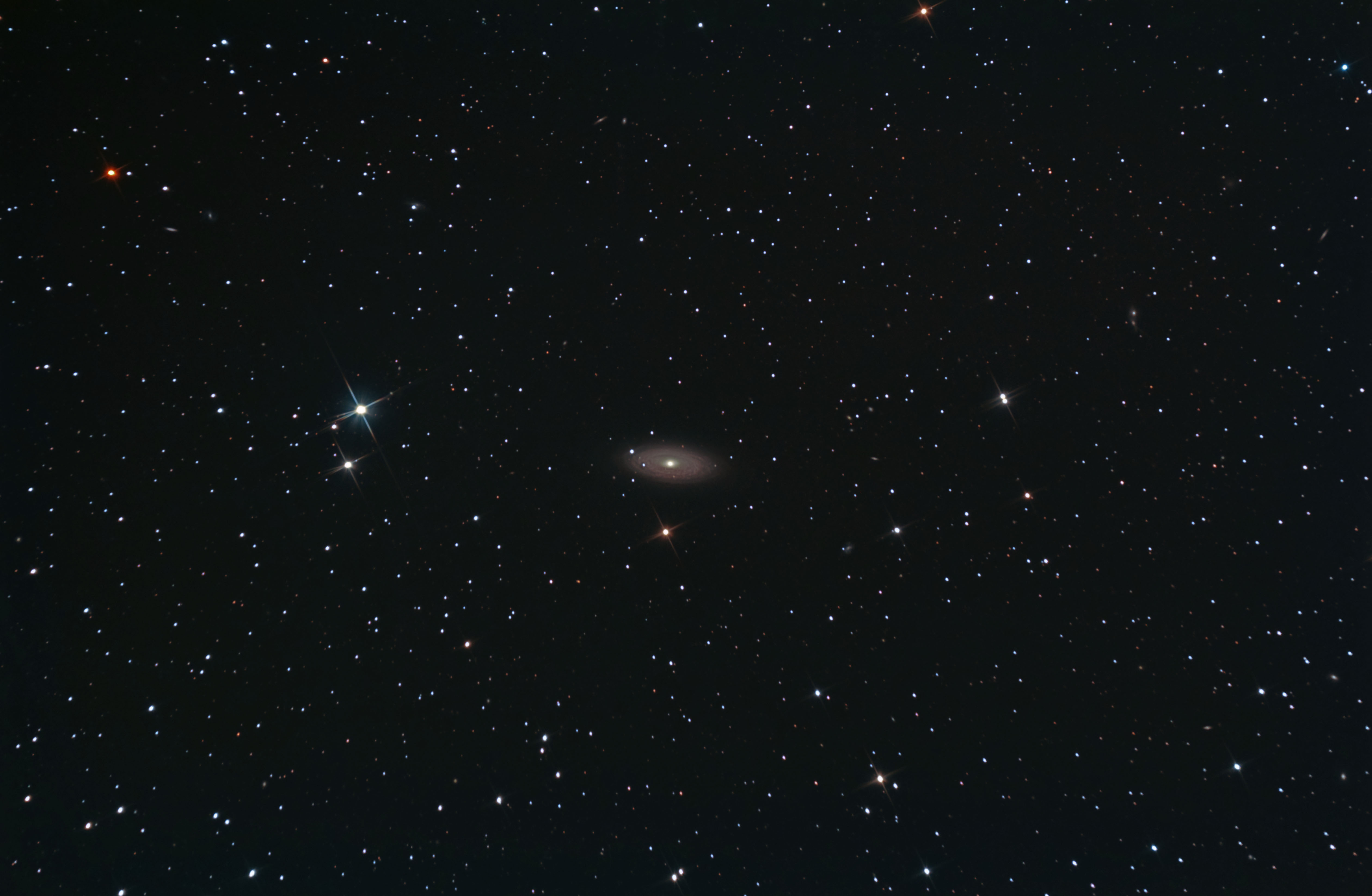 NGC 2841 Spektrum der Wissenschaft